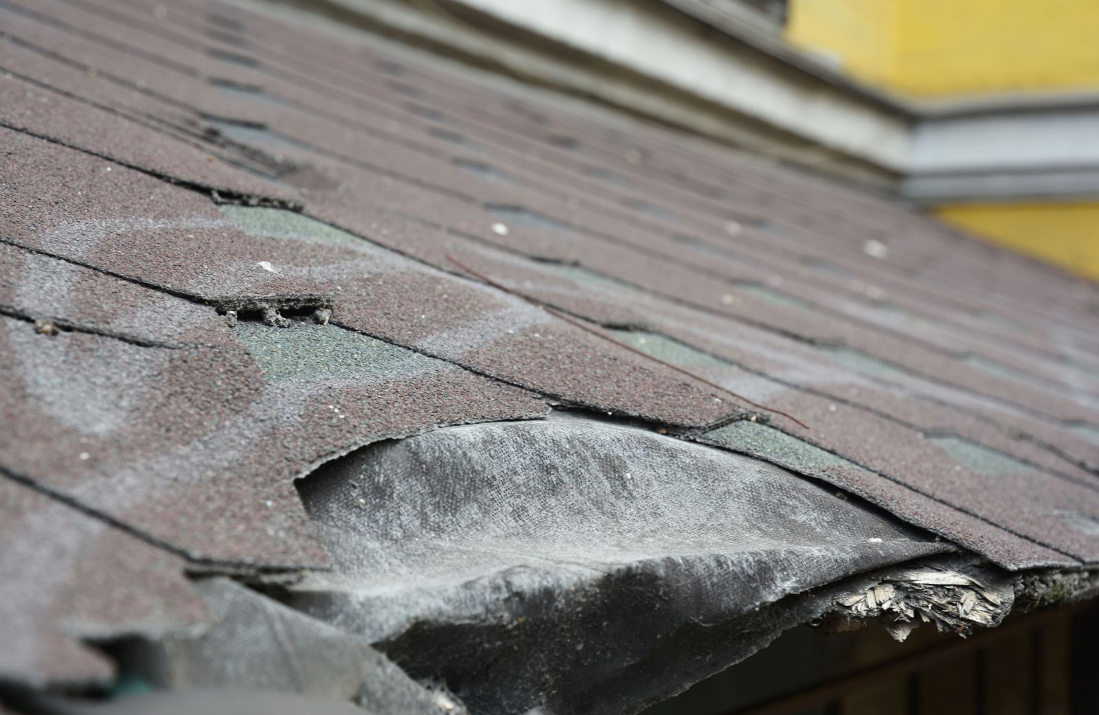 DR Roofing & Painting LLC Images