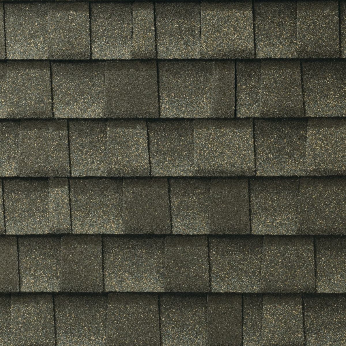 DR Roofing & Painting LLC Images