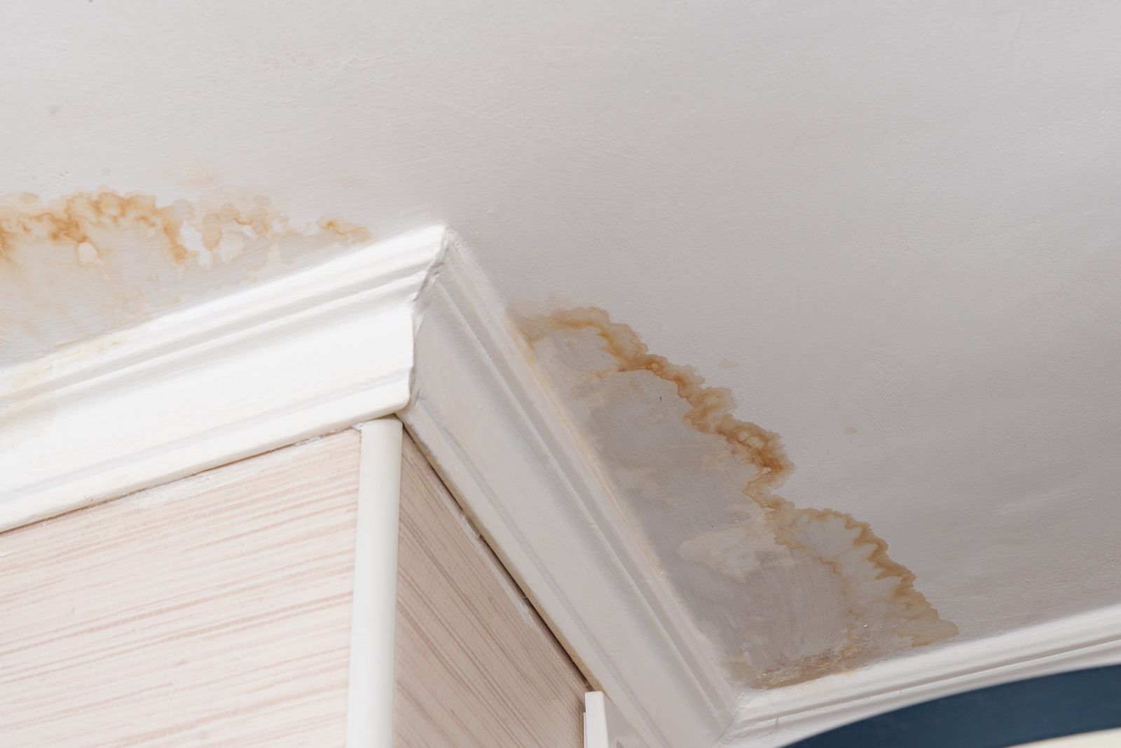 DR Roofing & Painting LLC Images
