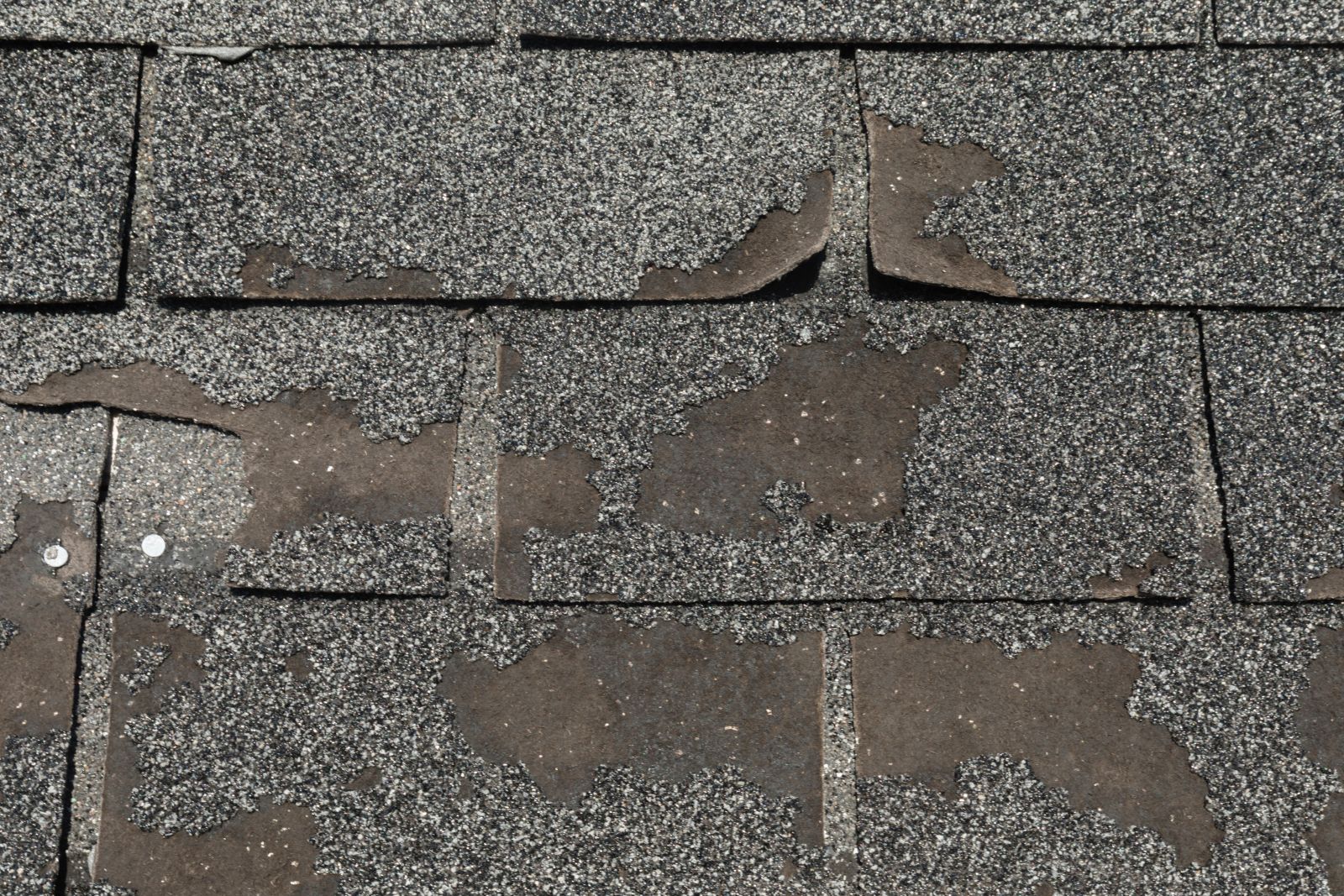 DR Roofing & Painting LLC Images